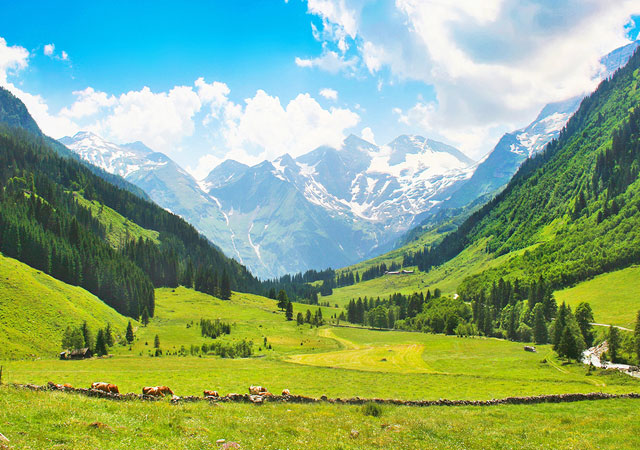 帕哈加姆山谷 Pahalgam