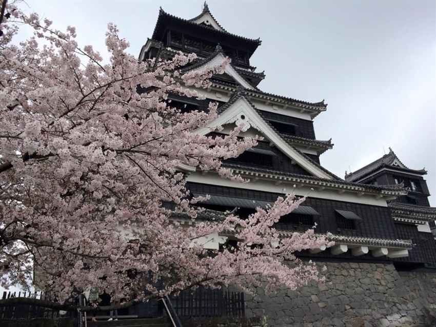熊本城