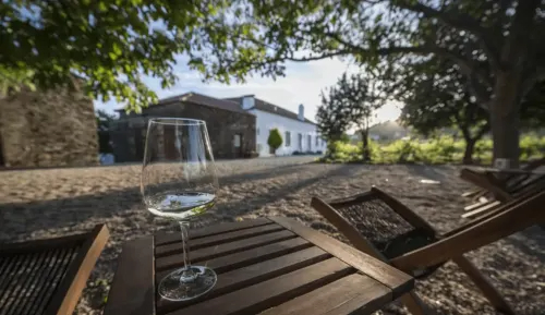 葡萄酒莊園 Morgadio da Calçada