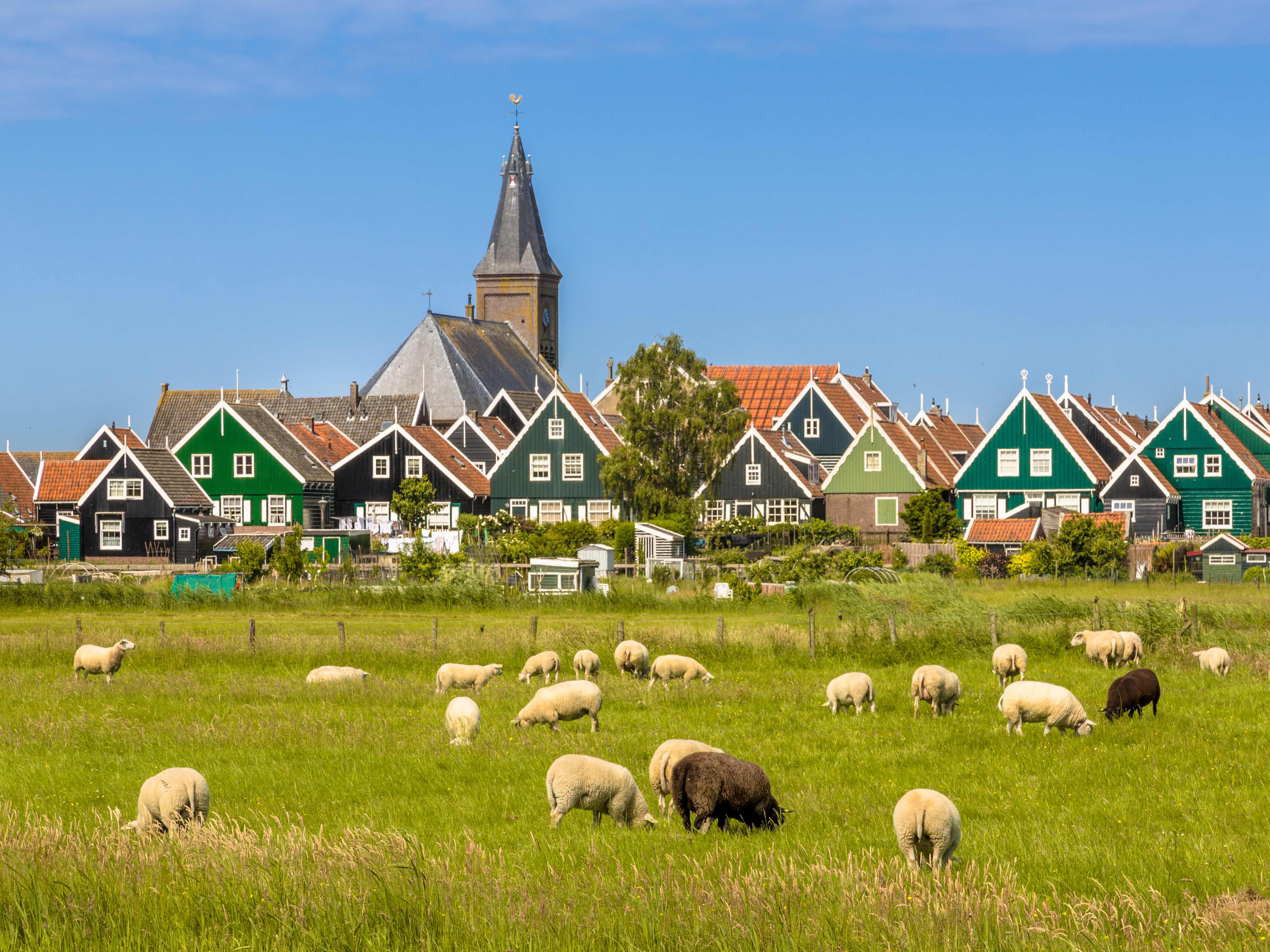 "綠村"馬肯 Marken