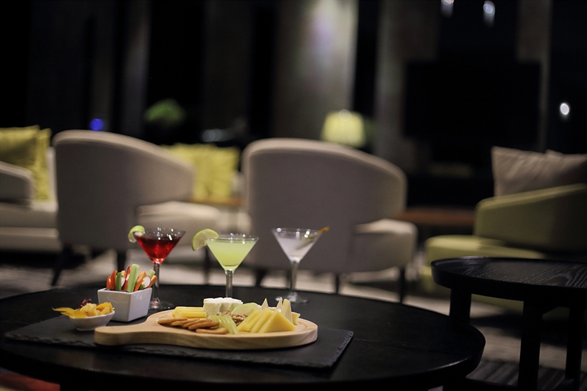 機場貴賓室 Airport Lounge