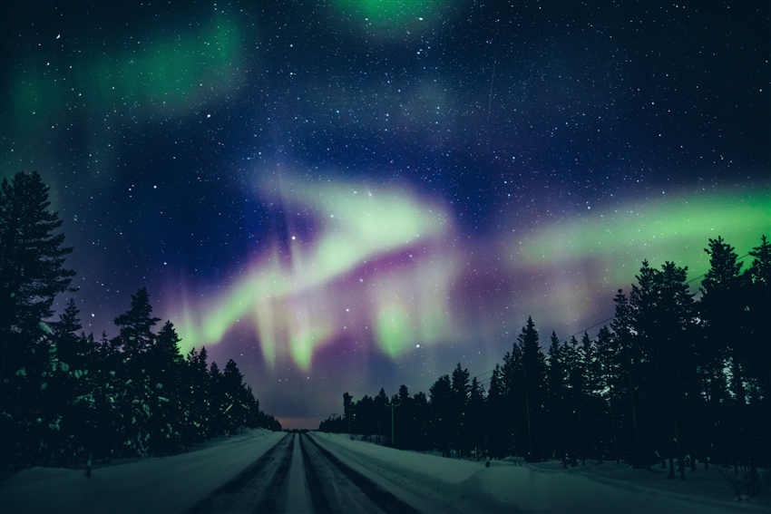 極光狩獵 Aurora Hunting