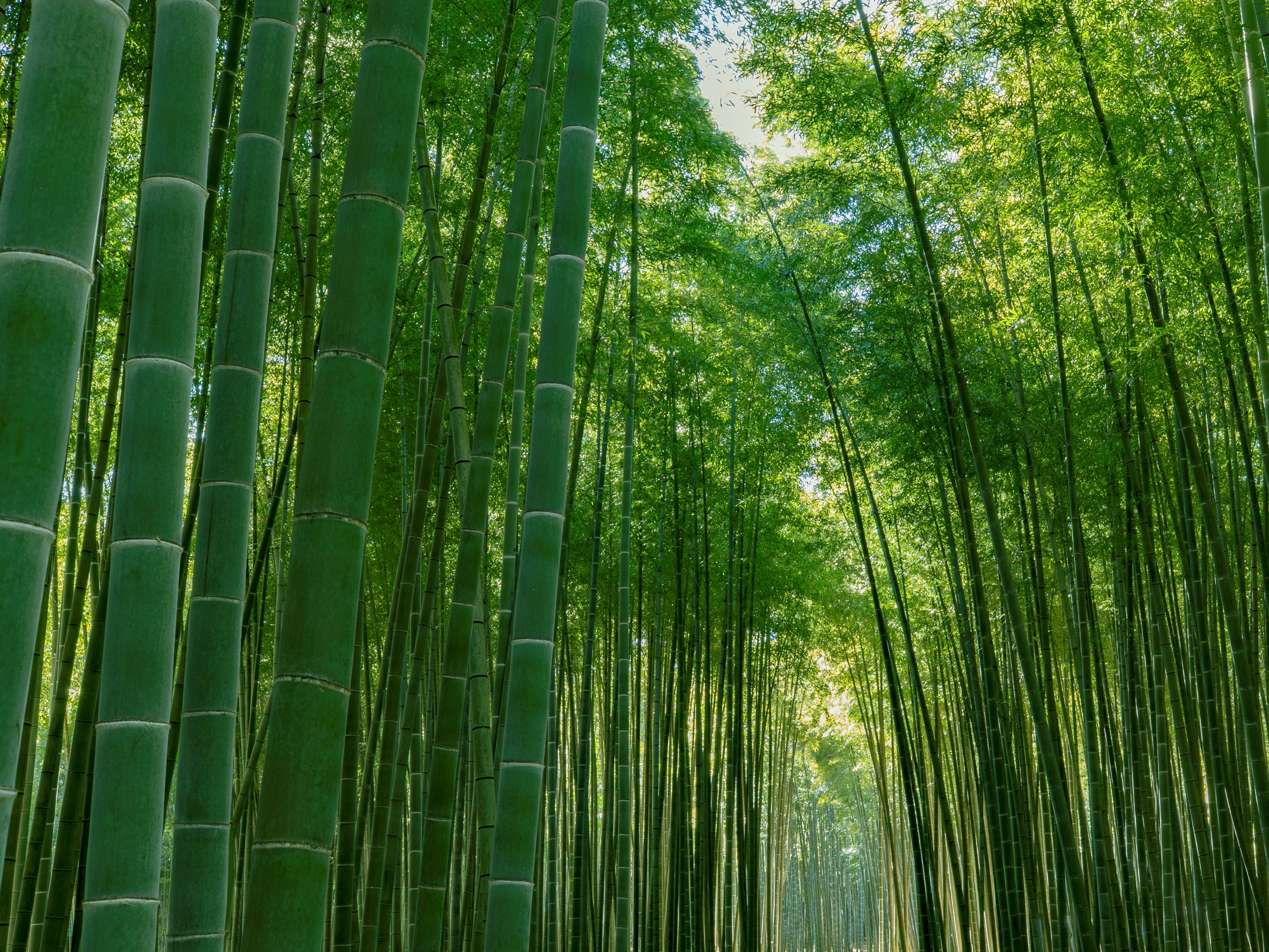 若竹之杜 若山農場 ワカヤマファーム