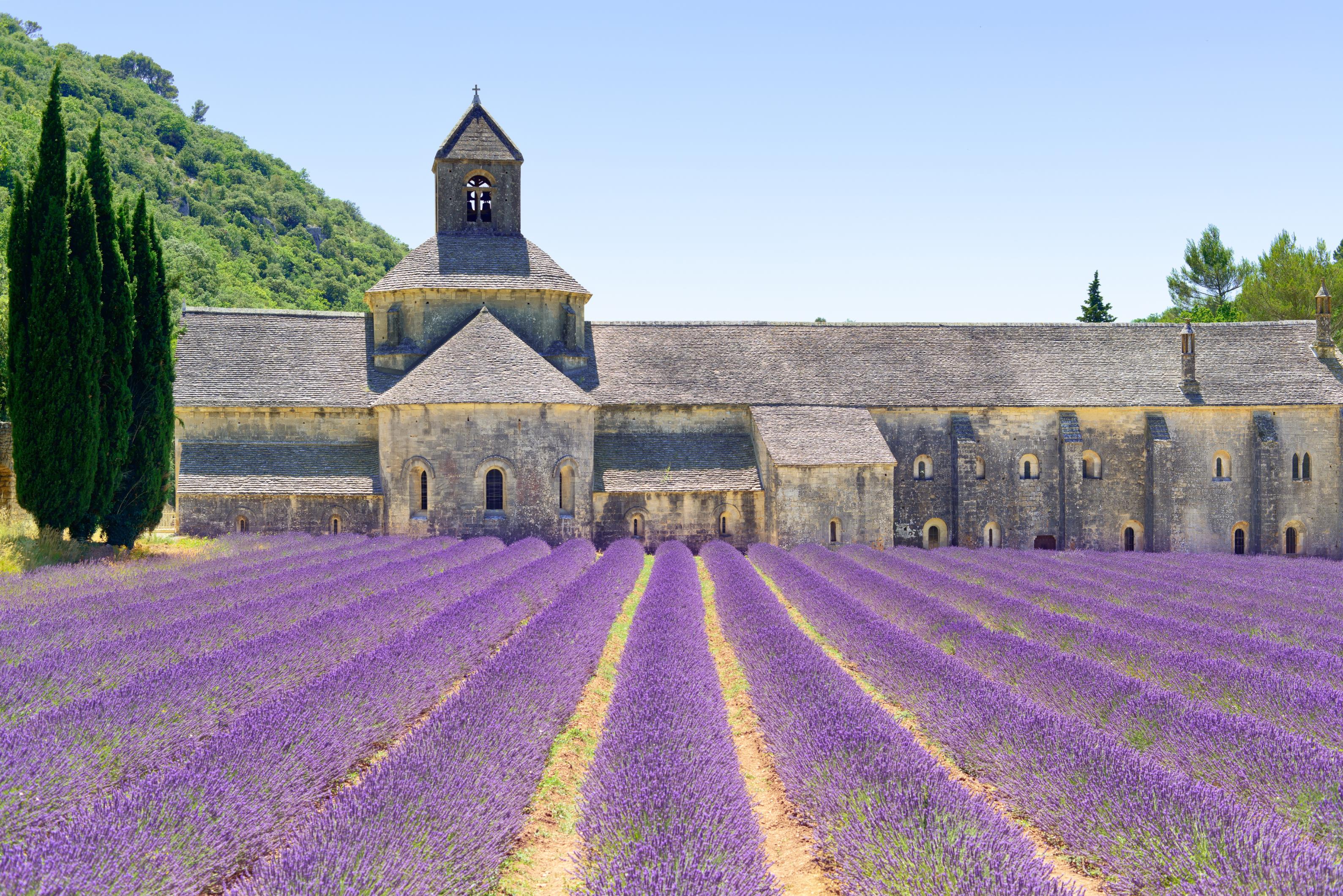塞南克修道院 Abbaye Notre-Dame de Sénanque