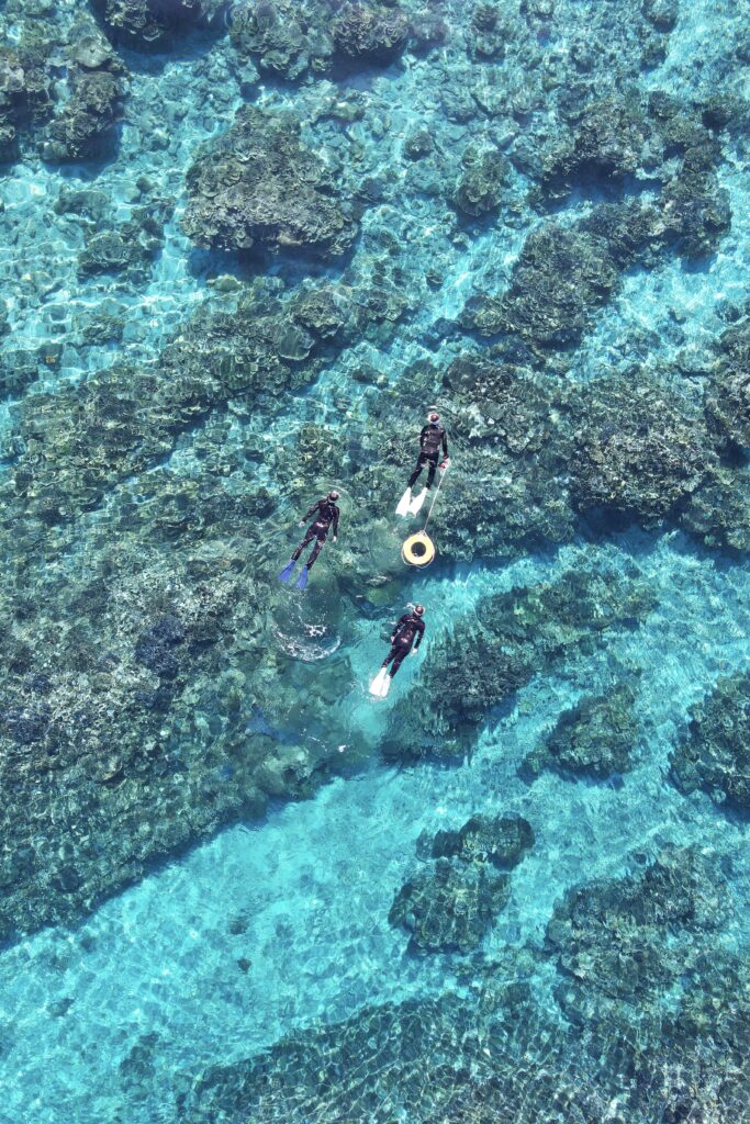 自費活動：宮古藍浮潛導覽