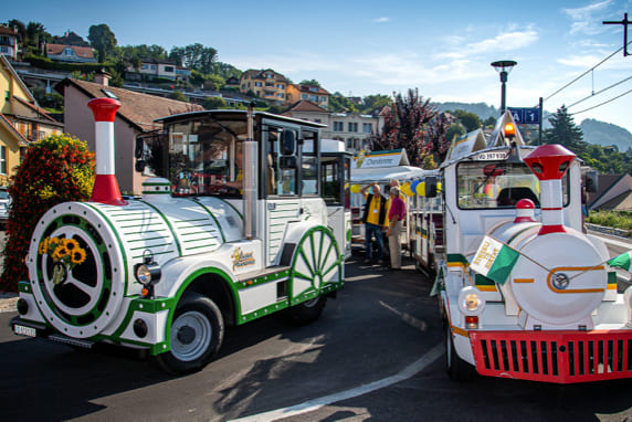 拉沃葡萄園小火車 Lavaux Express