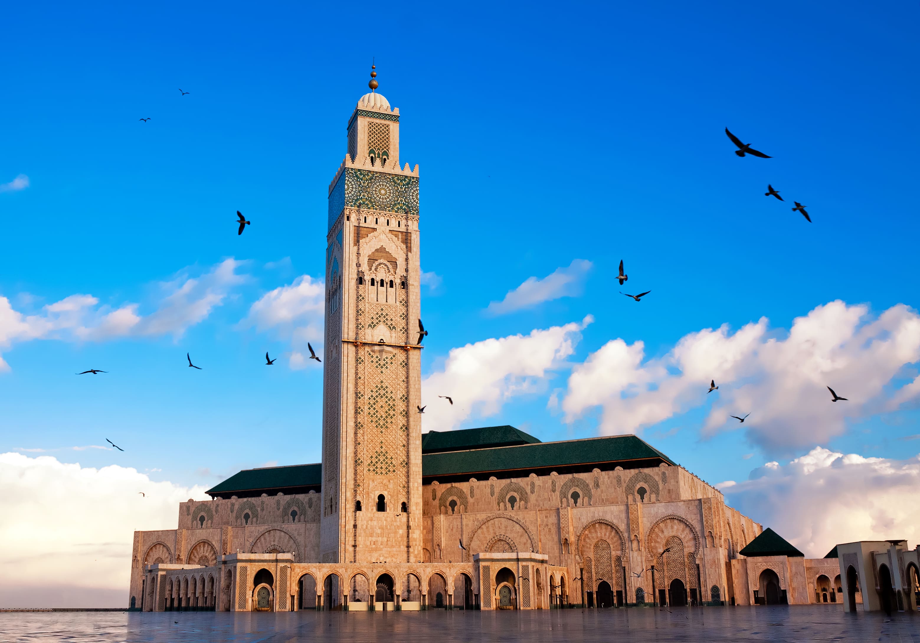 卡薩布蘭卡 Casablanca