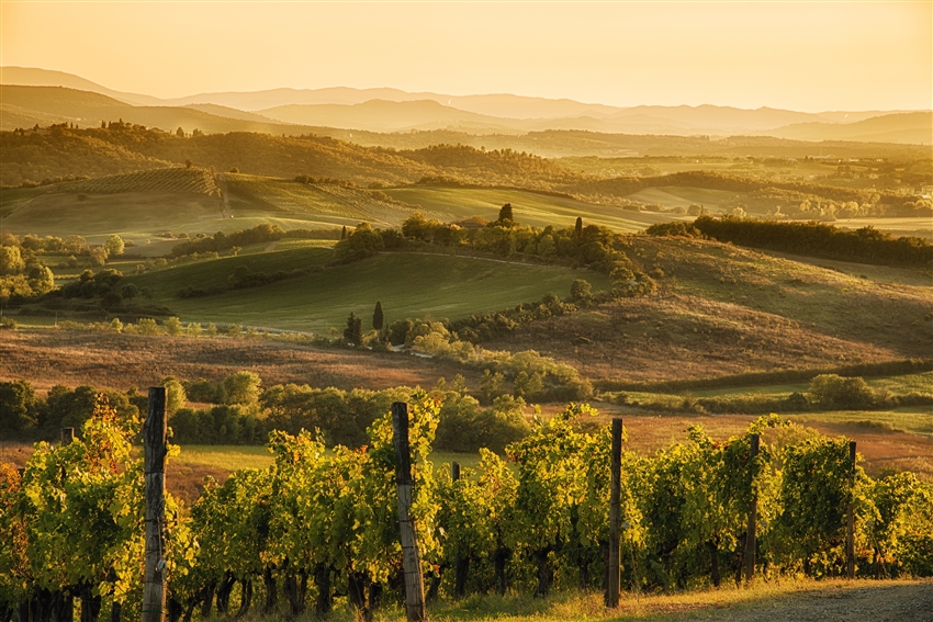 托斯卡納 Toscana