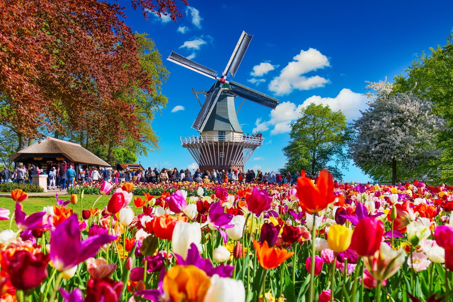 【免費講座】春遊歐心 花漾漫旅_新北板橋場