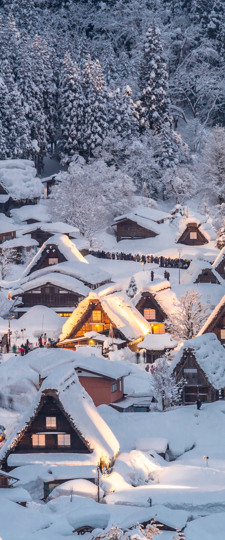 白川鄉夢幻點燈