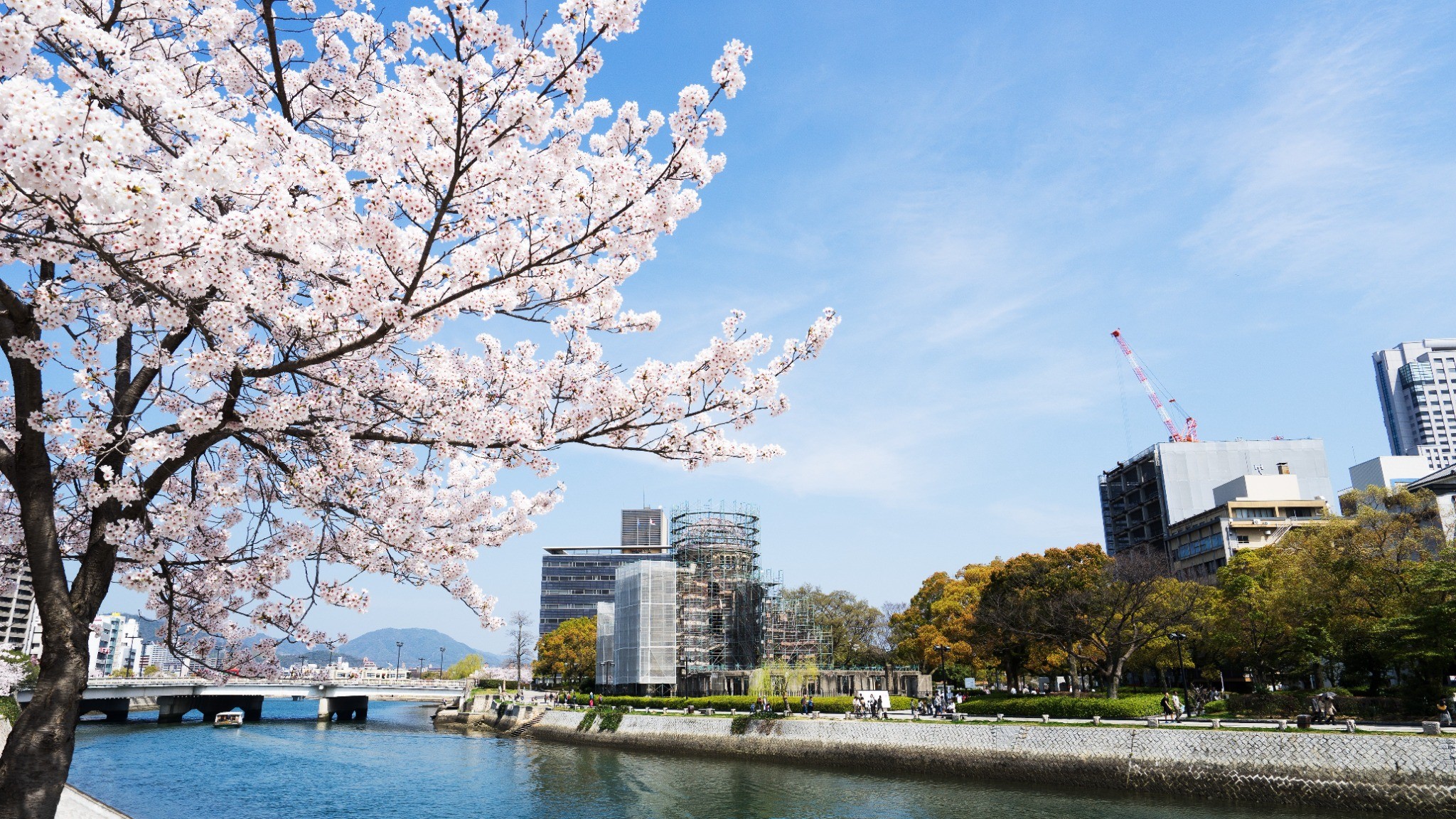 瀨戶內海跳島賞櫻7日
